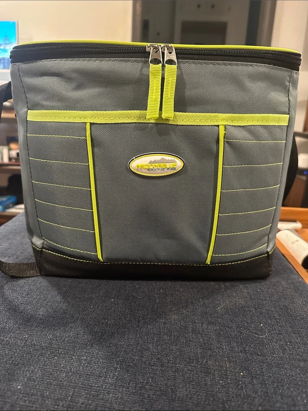 Gray and Lime Insulated Travel Cooler Bag